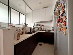 Lotus Ville (D15), Terrace #532851191